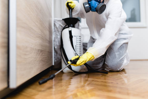 Professional Pest Control in Harrisville, UT