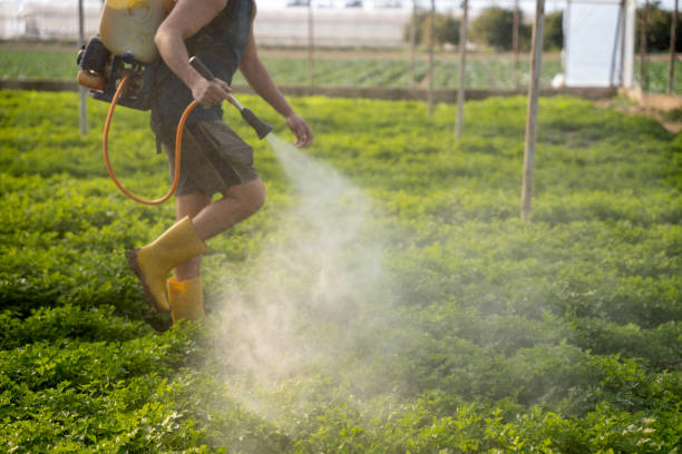 Best Local Pest Control Services  in Harrisville, UT