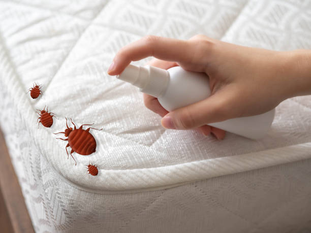 Best Best Pest Control Companies  in Harrisville, UT