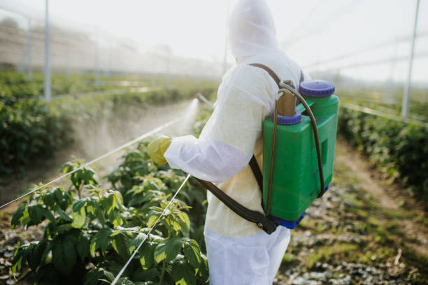Best Pest Removal Services  in Harrisville, UT